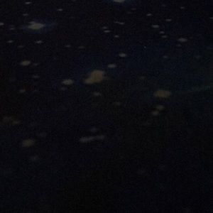 Meet your Posher, Noel